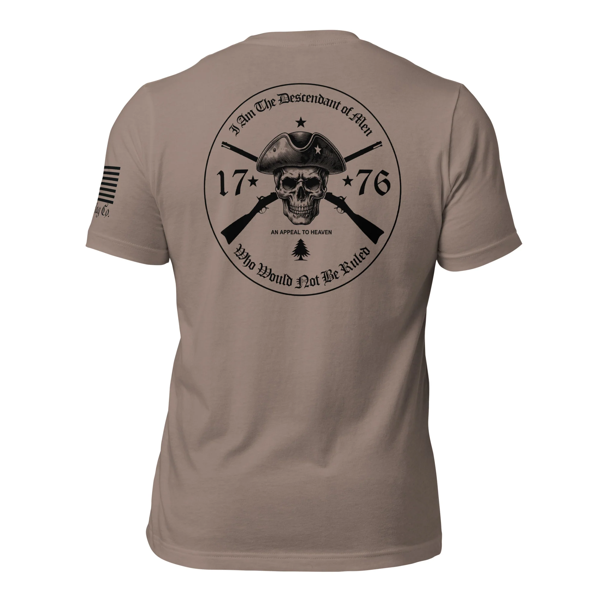 An Appeal to Heaven T-Shirt | 1776 Patriot DTG Print - Image 21