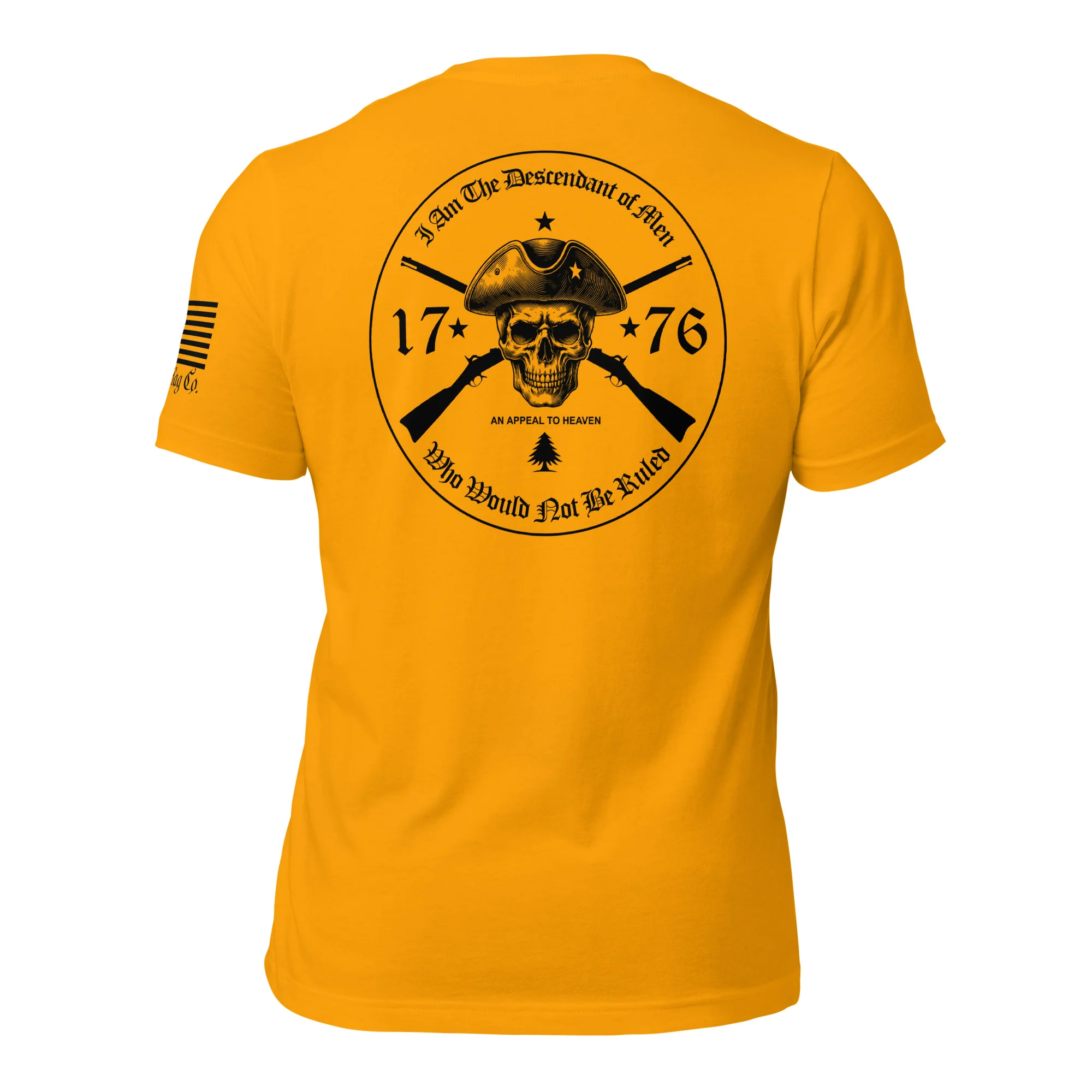 An Appeal to Heaven T-Shirt | 1776 Patriot DTG Print - Image 29