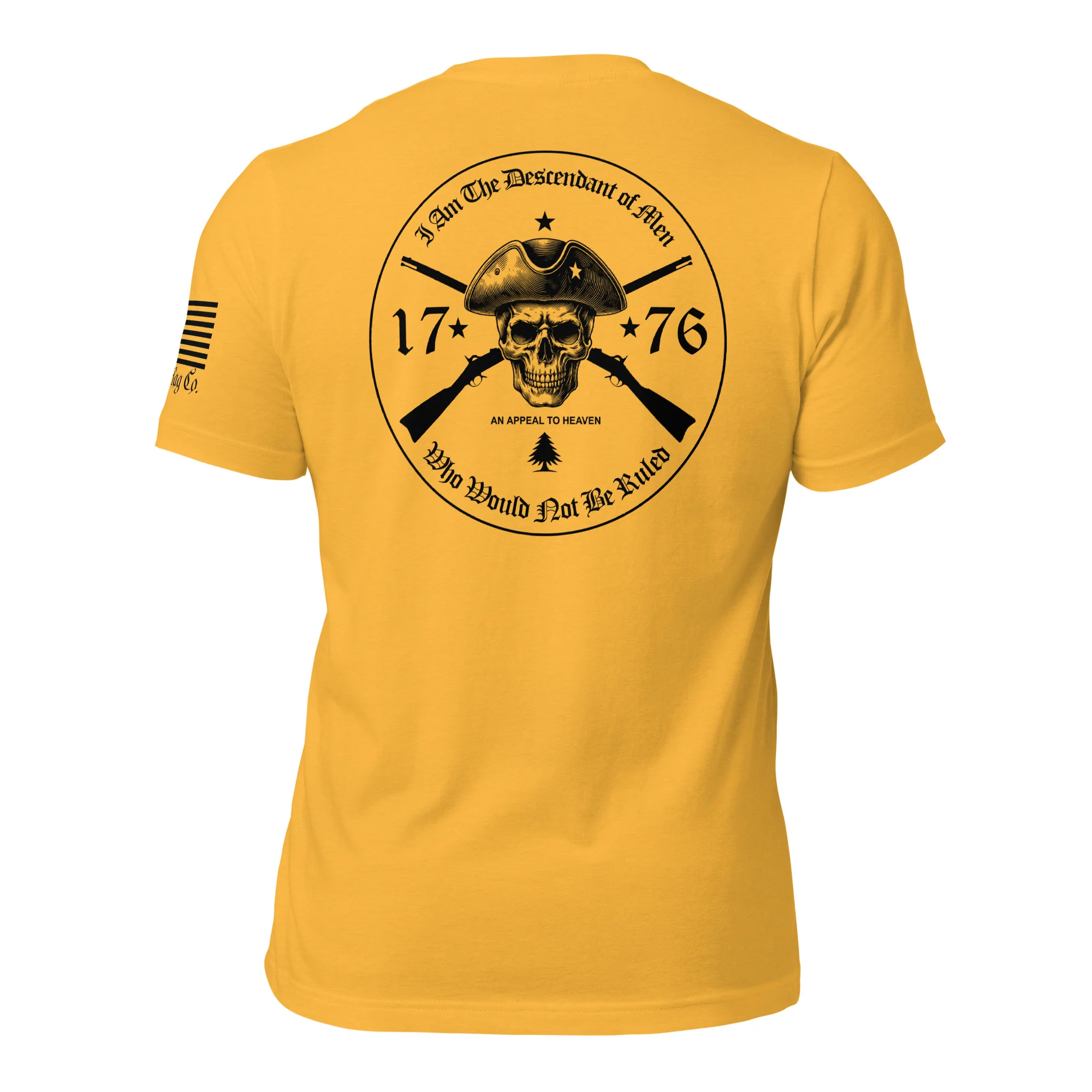 An Appeal to Heaven T-Shirt | 1776 Patriot DTG Print - Image 33