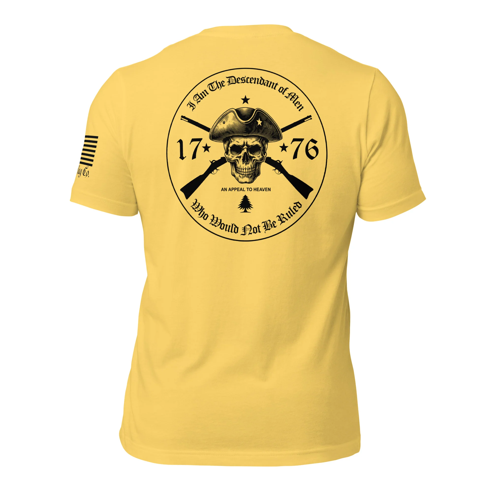 An Appeal to Heaven T-Shirt | 1776 Patriot DTG Print - Image 45