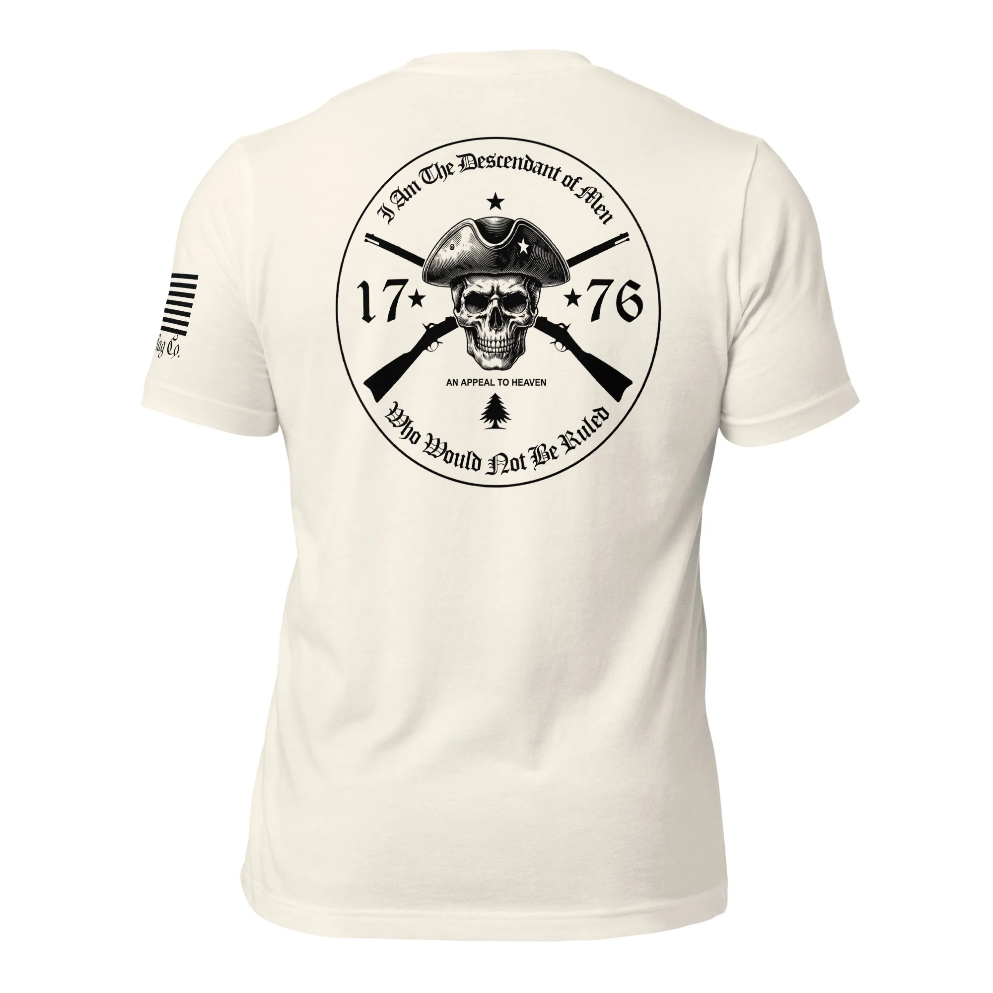 An Appeal to Heaven T-Shirt | 1776 Patriot DTG Print - Image 61