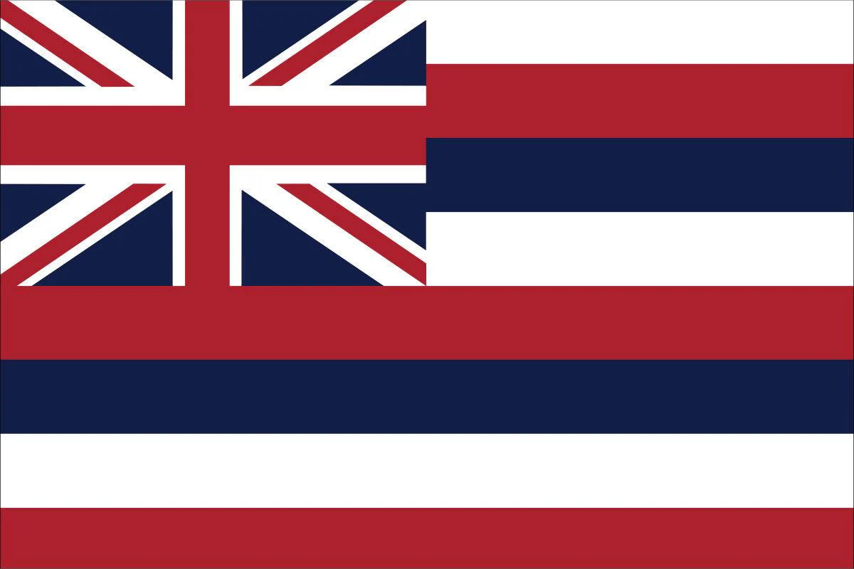 Hawaii State Flag Made in USA – Heavy Duty Nylon - Image 2