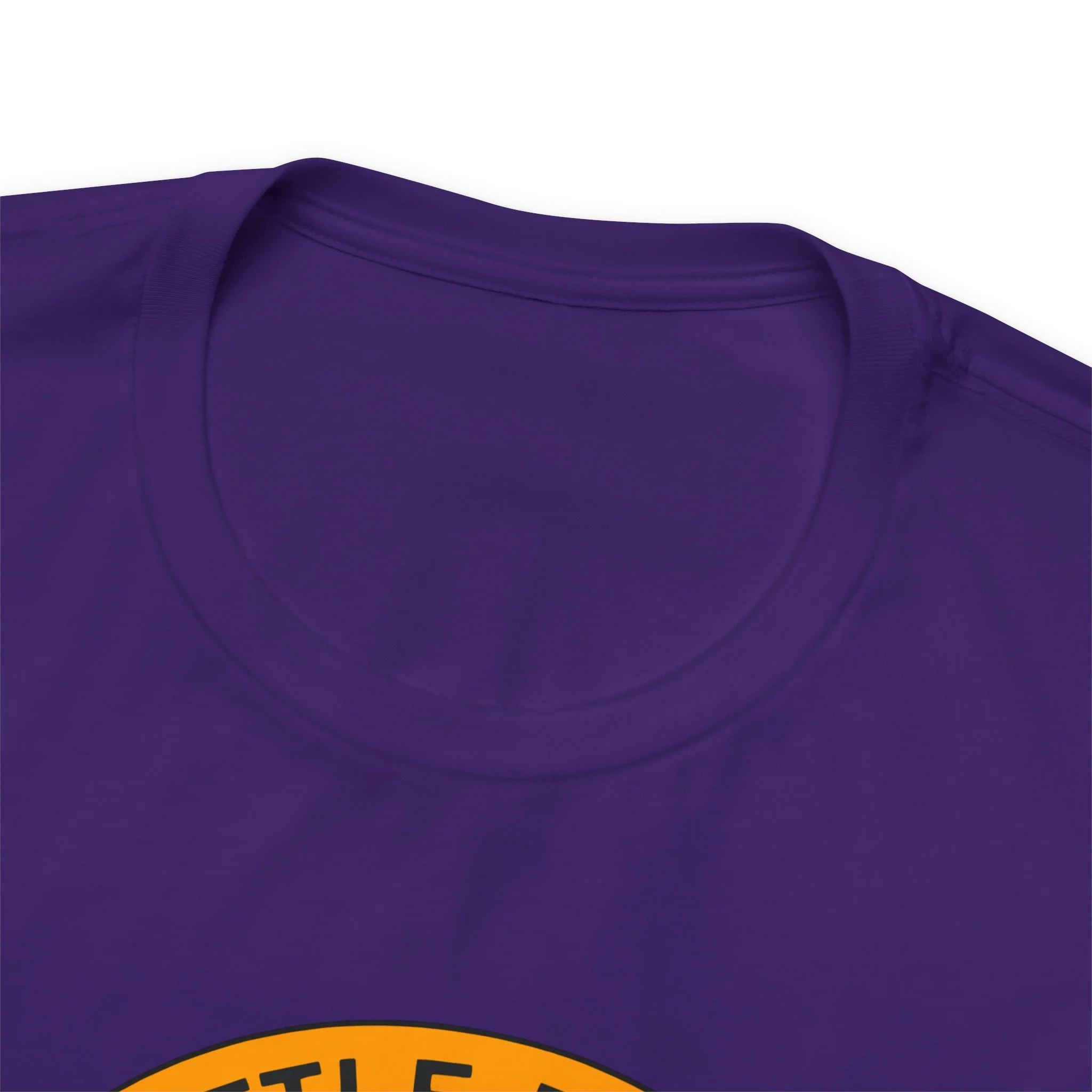 Nevada State Flag T Shirt: Bella + Canvas 3001 - Image 68