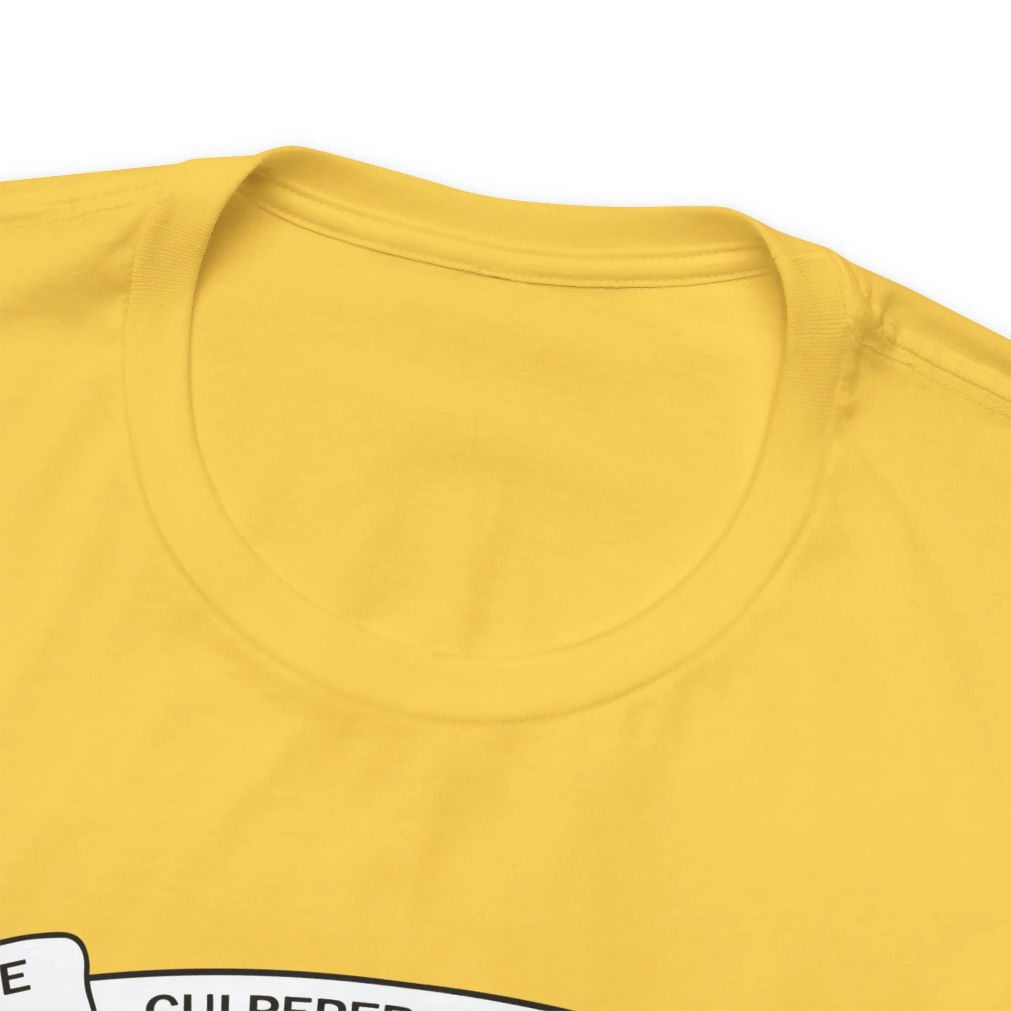 The Culpeper Minute Men Flag T Shirt: Bella + Canvas 3001 - Image 20