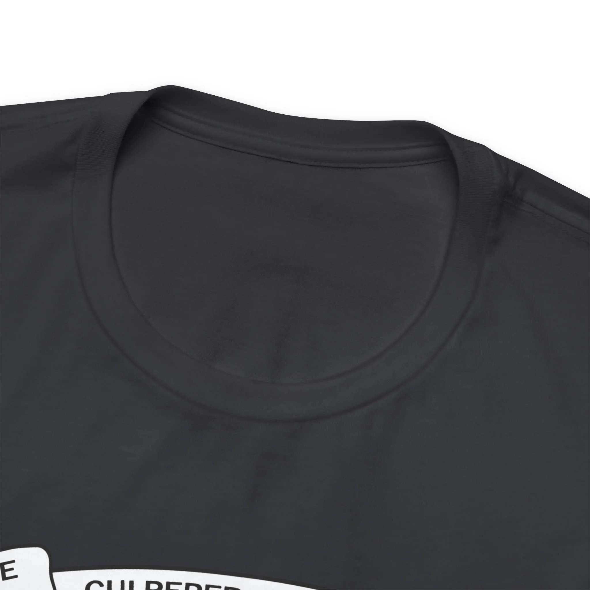 The Culpeper Minute Men Flag T Shirt: Bella + Canvas 3001 - Image 32