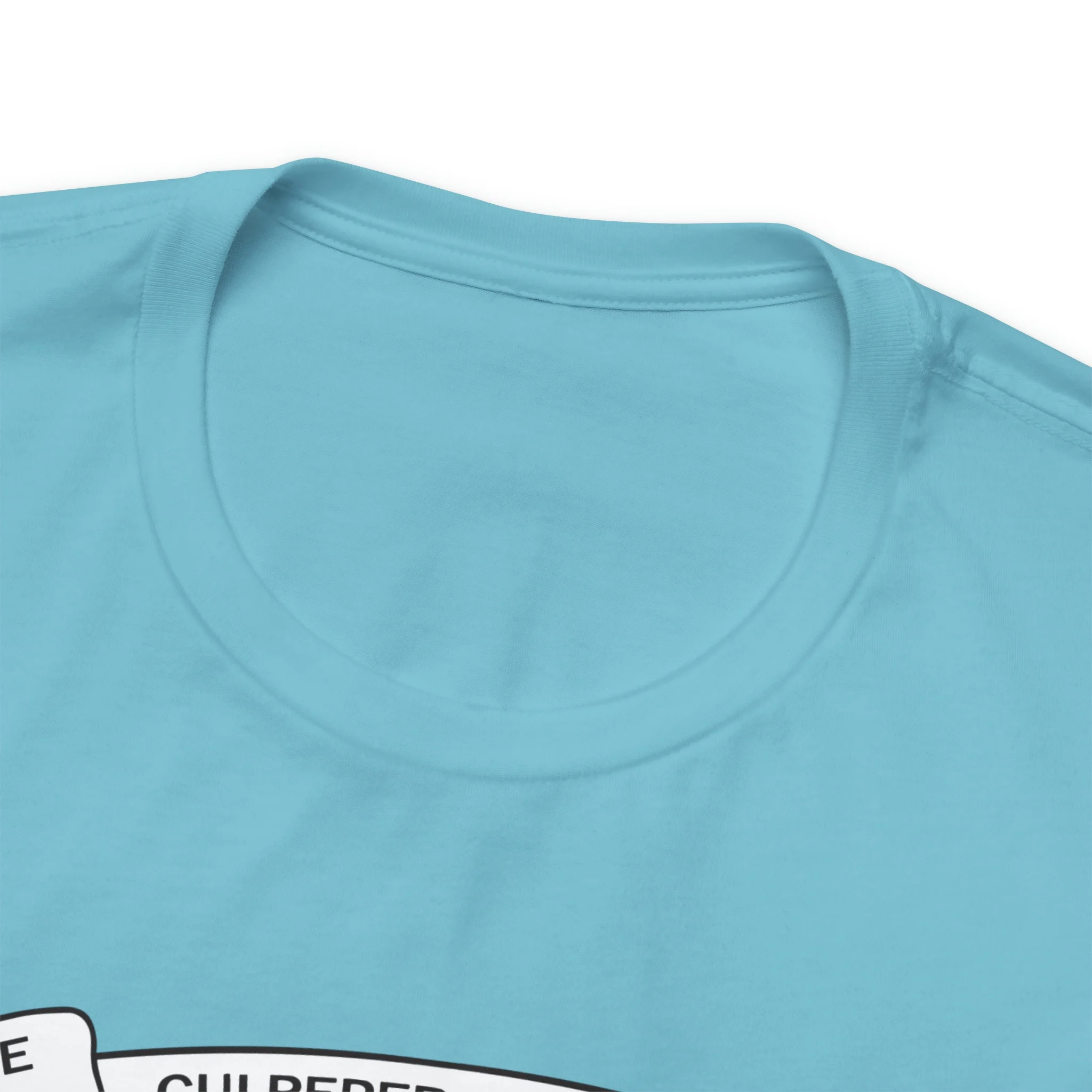 The Culpeper Minute Men Flag T Shirt: Bella + Canvas 3001 - Image 38