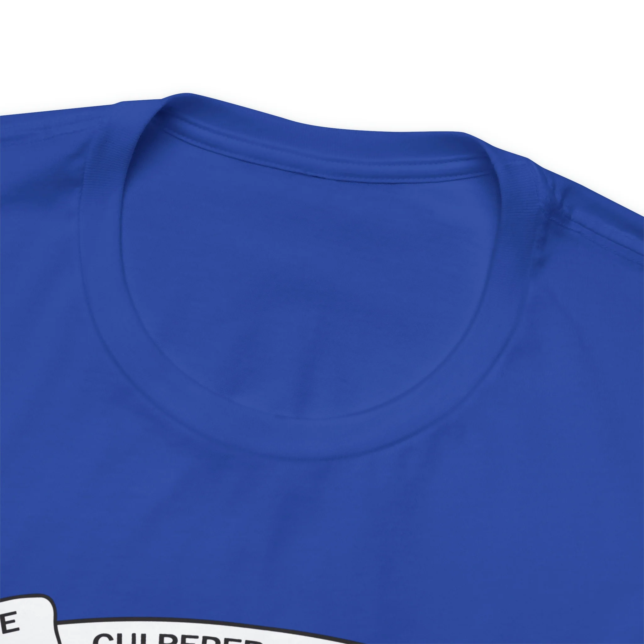 The Culpeper Minute Men Flag T Shirt: Bella + Canvas 3001 - Image 50