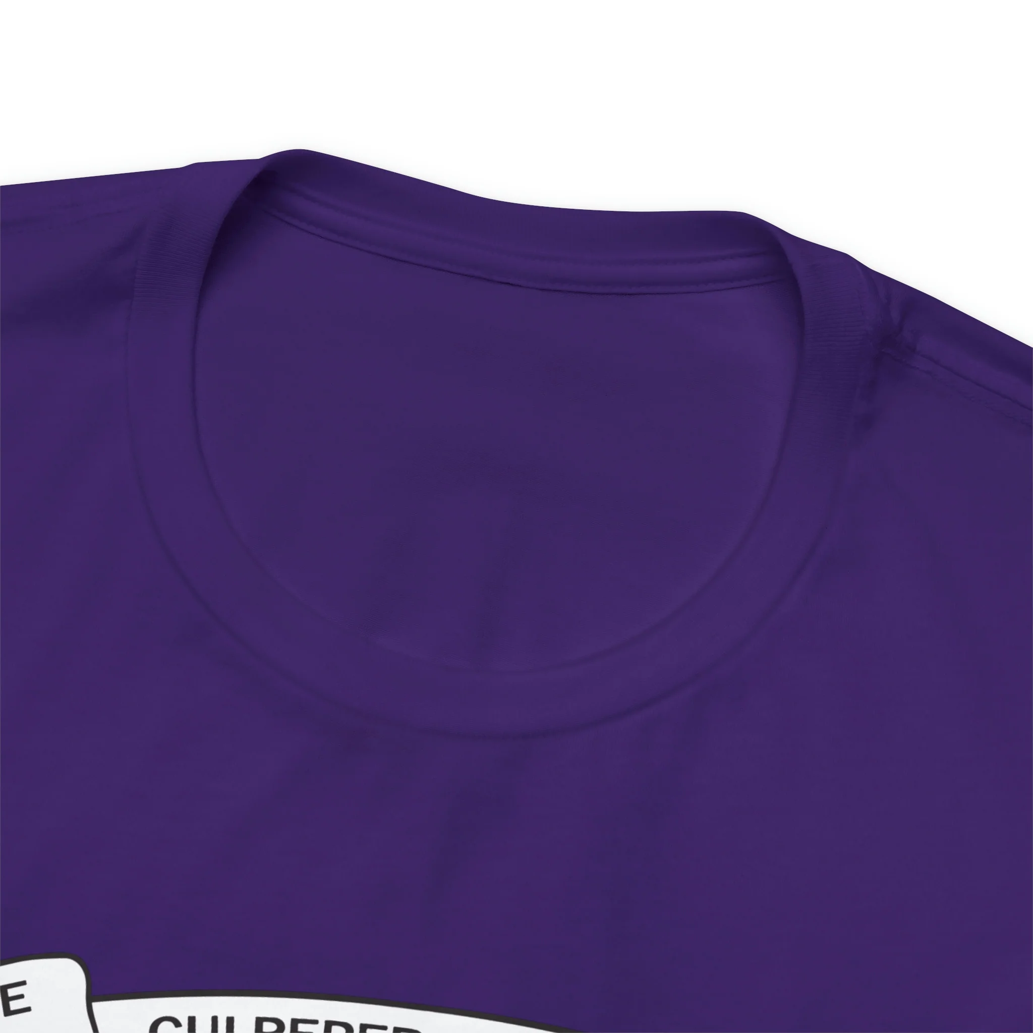 The Culpeper Minute Men Flag T Shirt: Bella + Canvas 3001 - Image 68