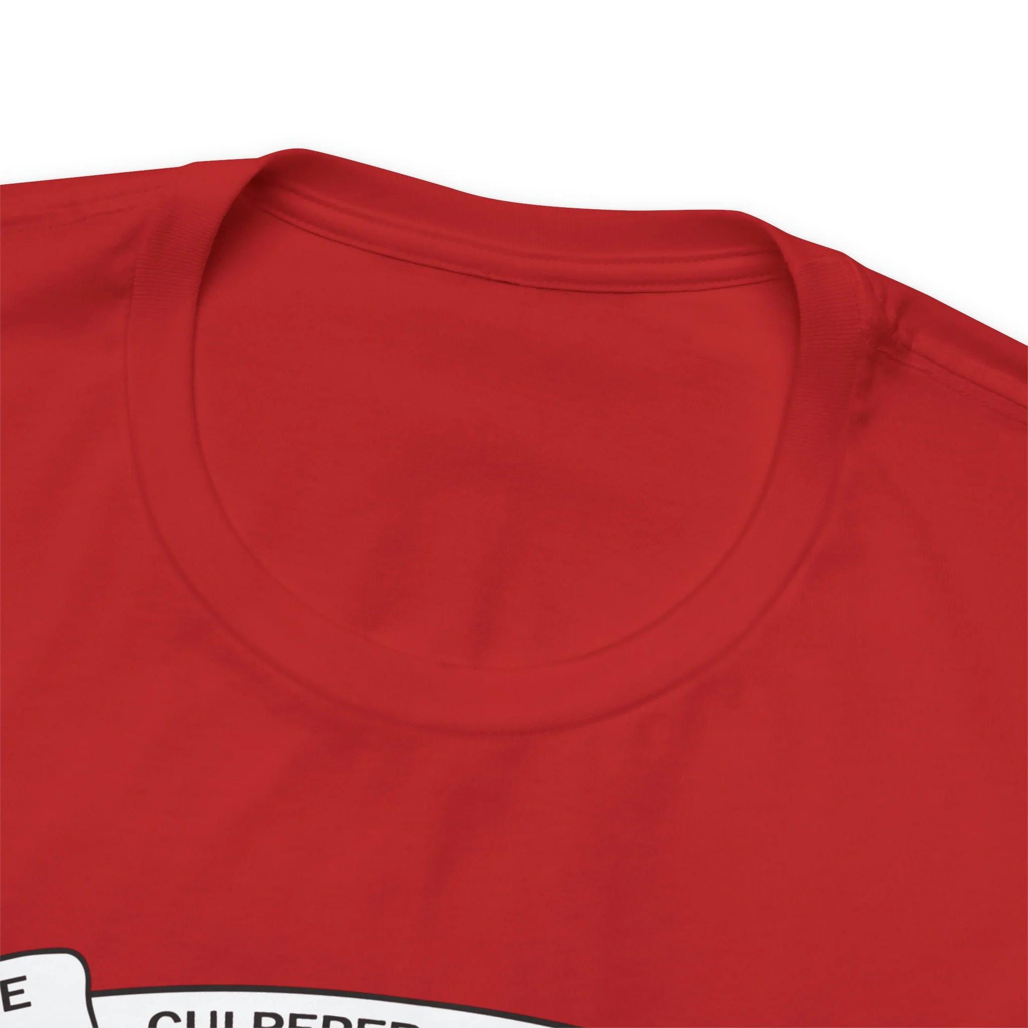 The Culpeper Minute Men Flag T Shirt: Bella + Canvas 3001 - Image 92